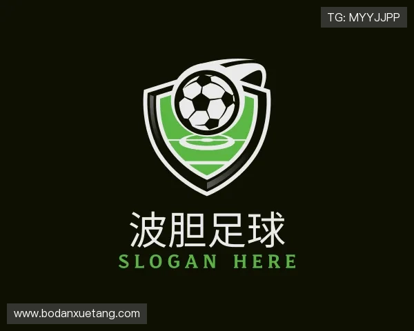 了解波胆app官网